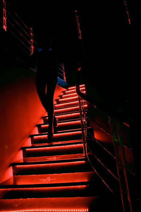 Звездный Носорог на Подоле